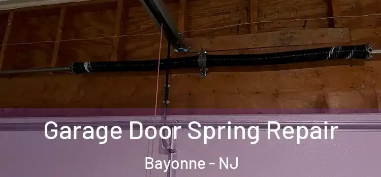  Garage Door Spring Repair Bayonne - NJ