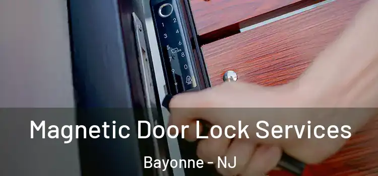 Magnetic Door Lock Services Bayonne - NJ