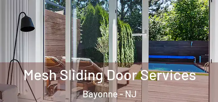 Mesh Sliding Door Services Bayonne - NJ